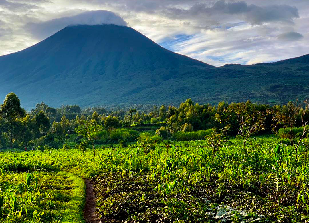 5-Days-Mgahinga-and-Lake-Bunyonyi