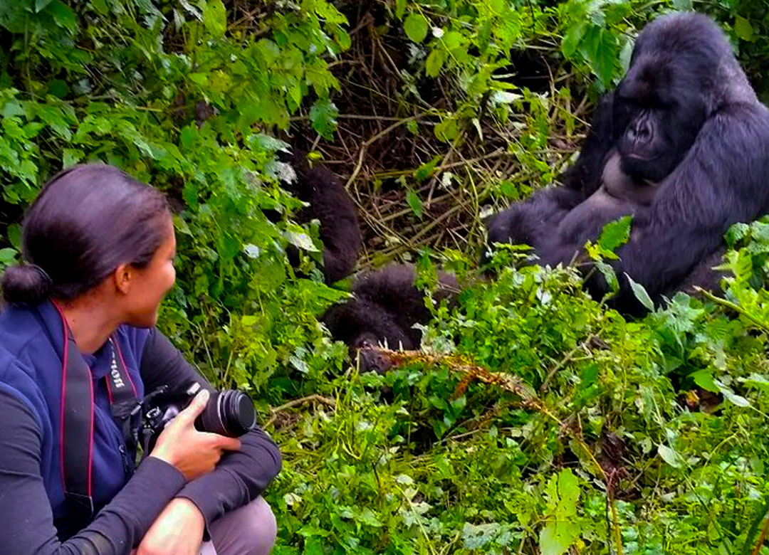 8-days-Gorilla-Golden-Monkey-and-Safari