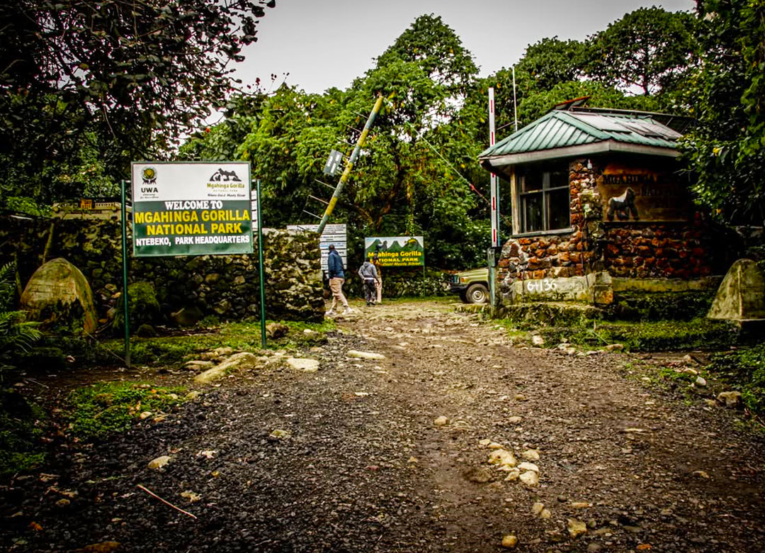 How-To-Get-To-Mgahinga-Gorilla-National-Park