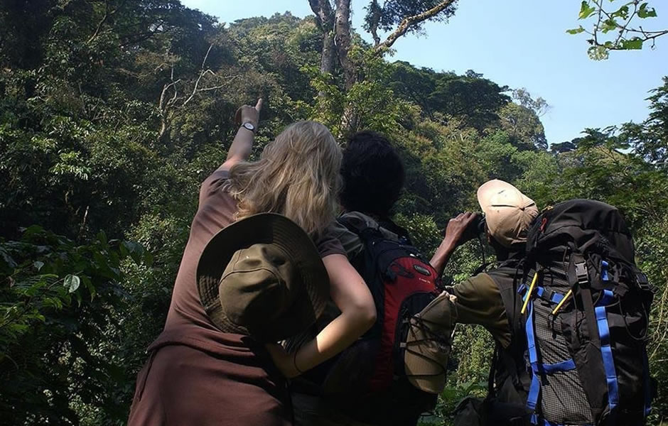 Birding In Mgahinga Gorilla National Park