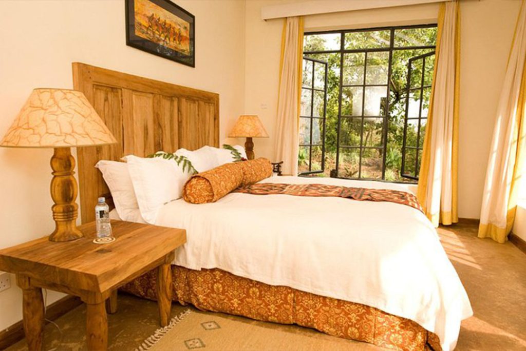 Mgahinga vs Bwindi comparison