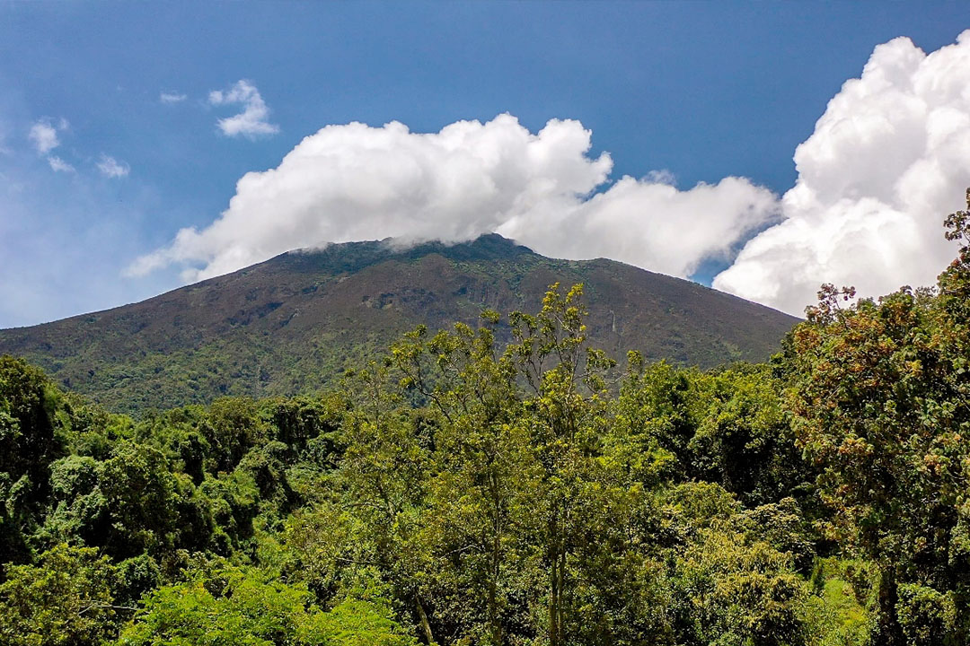 Exploring Echuya Forest Reserve