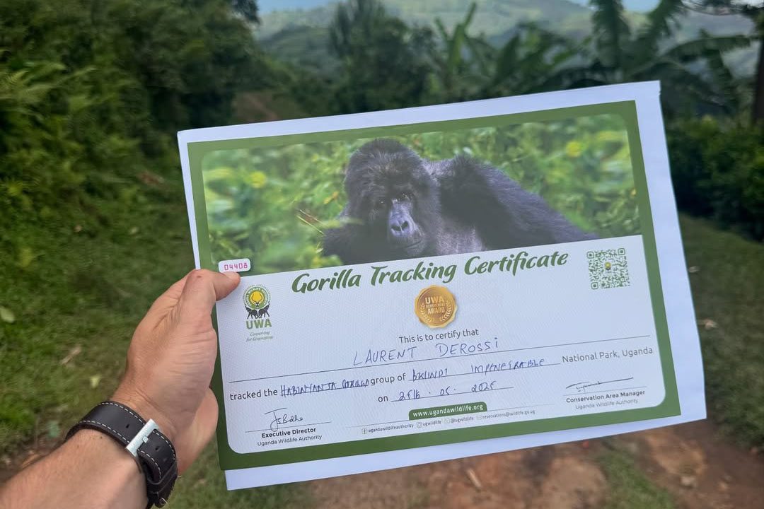 Gorilla permit booking policies