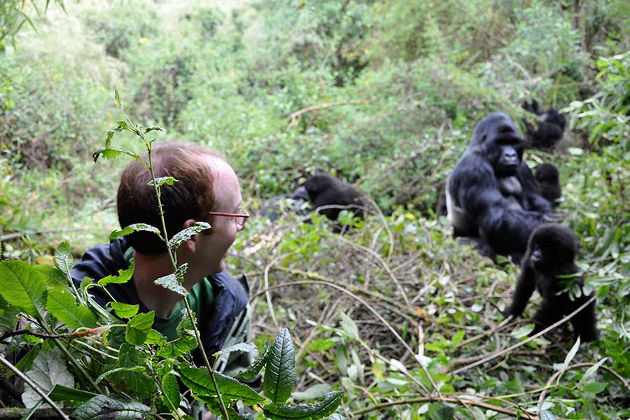 Mgahinga Gorilla Trekking Rules