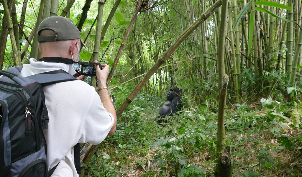 Mgahinga Gorilla Conservation Efforts