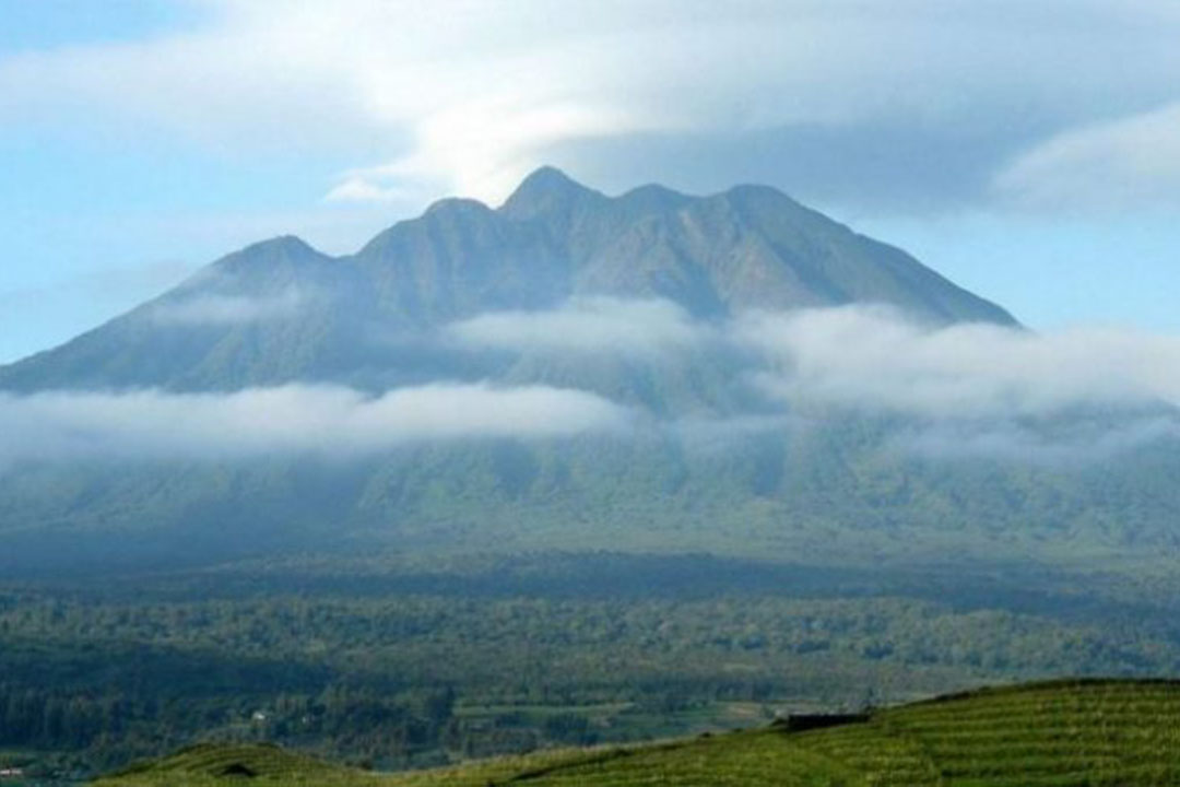 Virunga Region Safari Destination