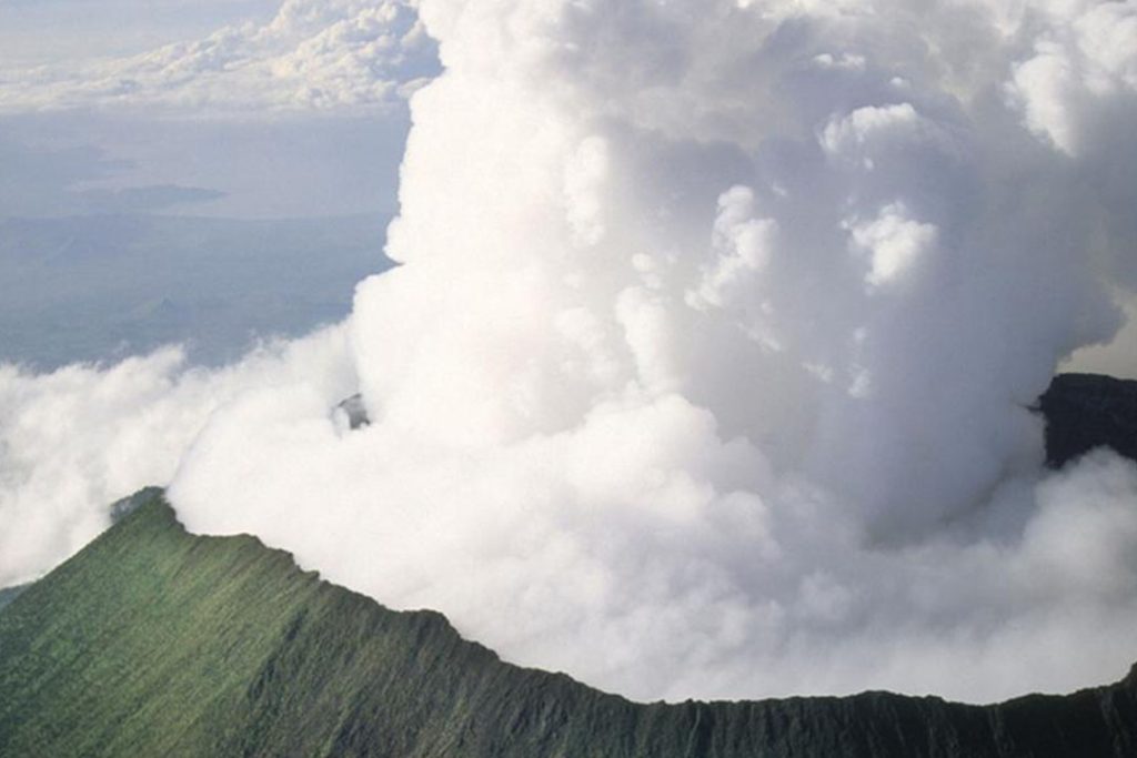 Mgahinga Park nature walks