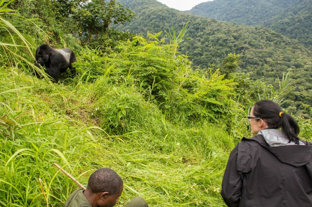 Uganda Rwanda Safari Guide