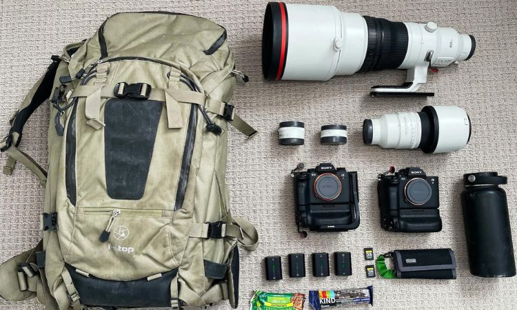 Best gorilla photography gear